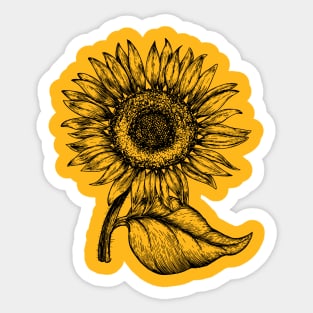 Sunflower Spring Summer Flowers Floral Sticker